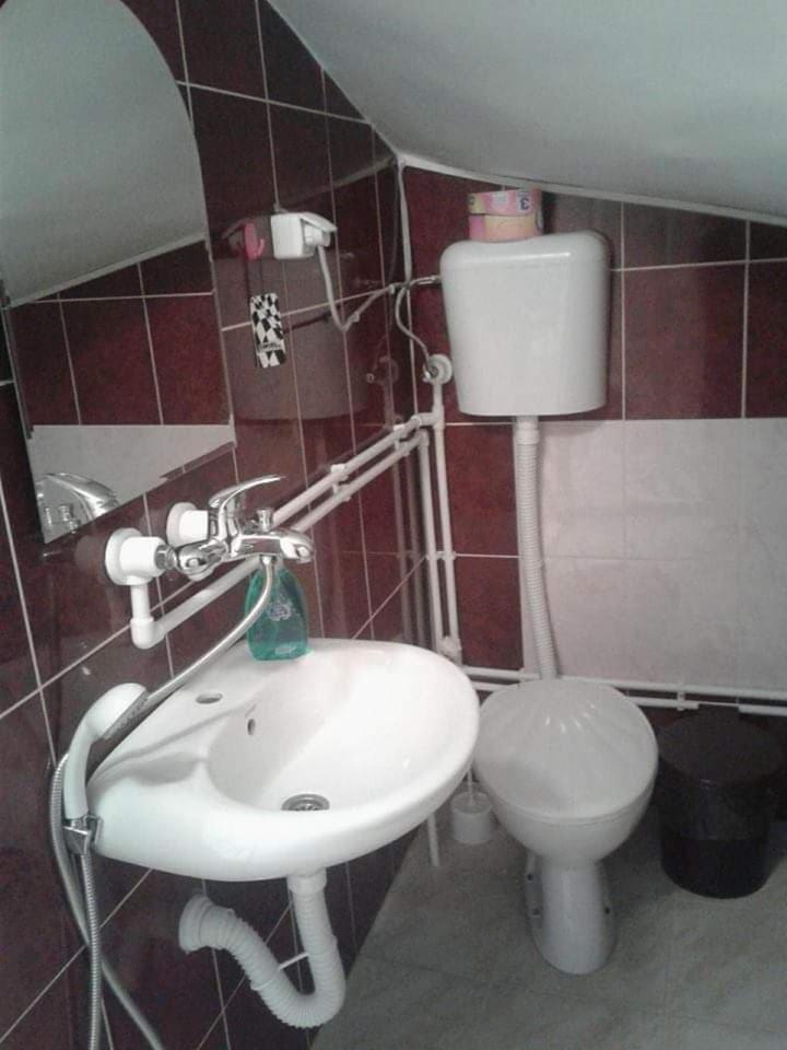 Privatan Smestaj Knjazevac Экстерьер фото